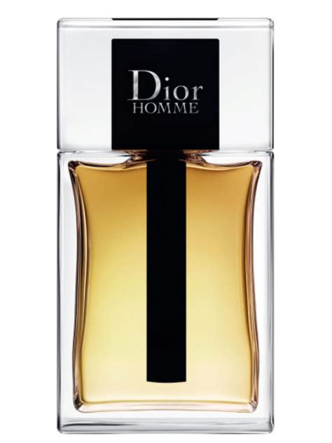 dior homme eau de toilette fragrantica|dior homme original vs 2020.